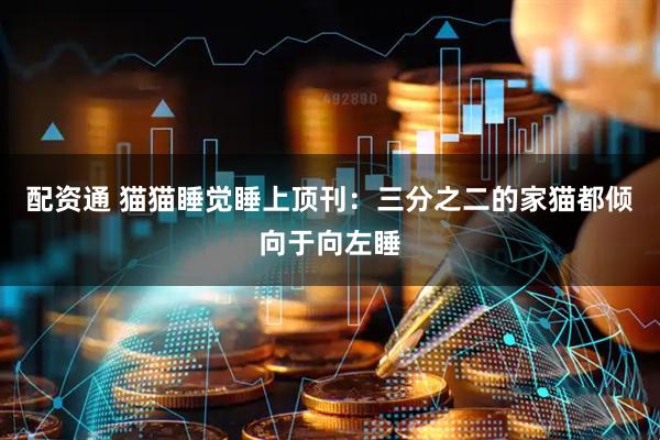 配资通 猫猫睡觉睡上顶刊：三分之二的家猫都倾向于向左睡