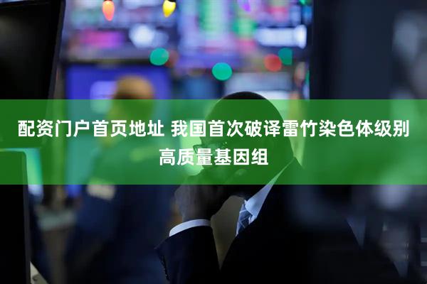 配资门户首页地址 我国首次破译雷竹染色体级别高质量基因组