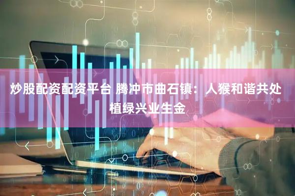 炒股配资配资平台 腾冲市曲石镇：人猴和谐共处 植绿兴业生金